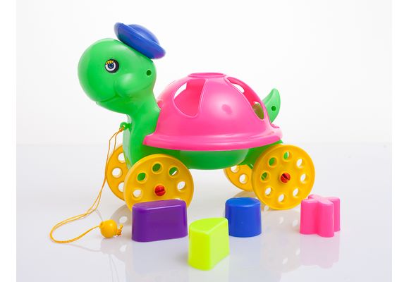 Tortuga Malla