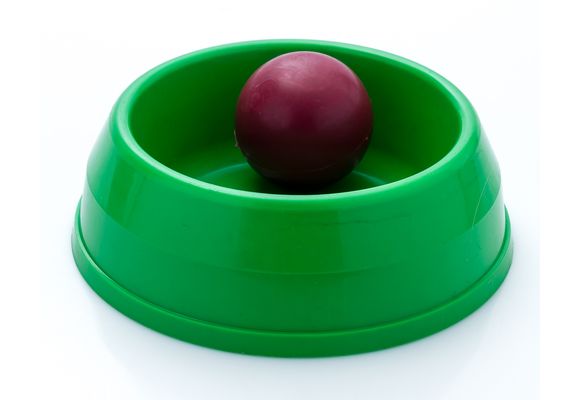 Kit Pelota Mediana + Comedero Mediano